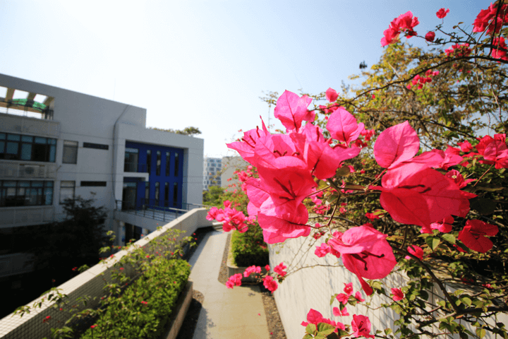 人生就是博·(中国区)官方网站