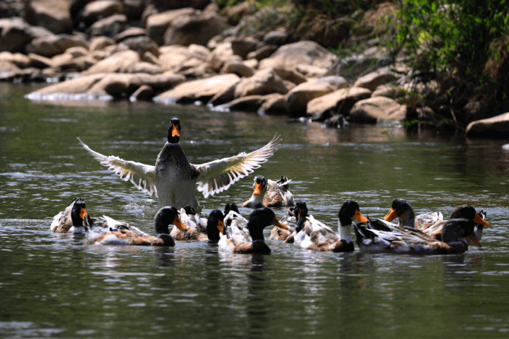 人生就是博·(中国区)官方网站